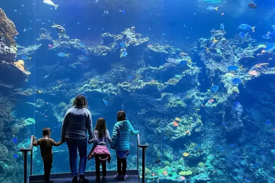 Familia con Acuario junto a la Bahía